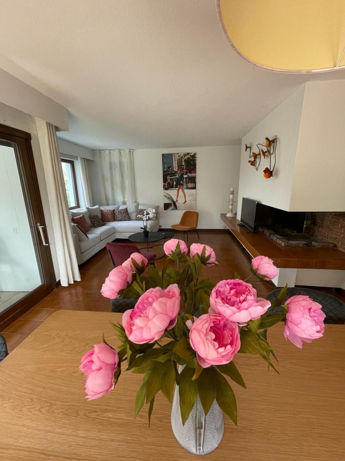 Appartement Le Bacchus Thonon-les-Bains