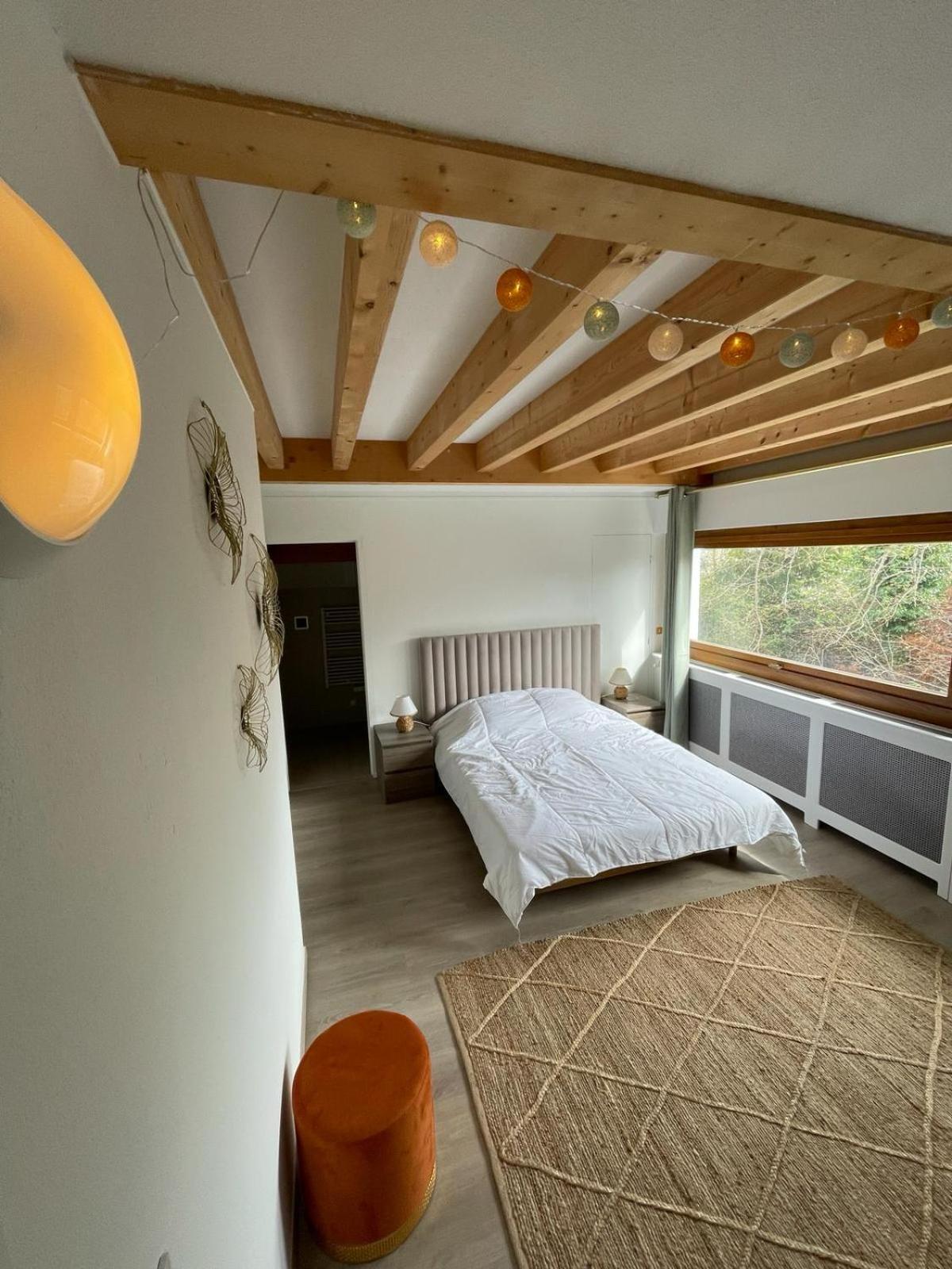 Appartement Le Bacchus Thonon-les-Bains