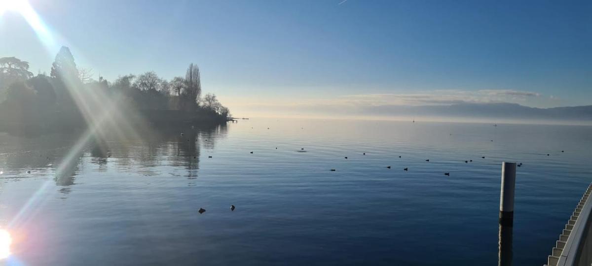 Le Bacchus Thonon-les-Bains