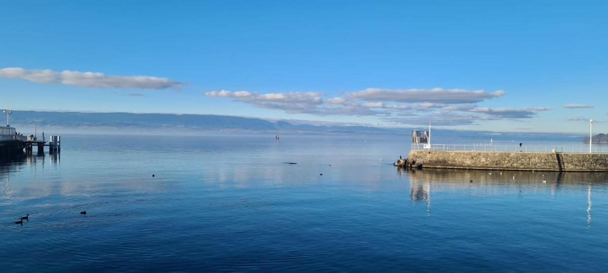 Le Bacchus * Thonon-les-Bains